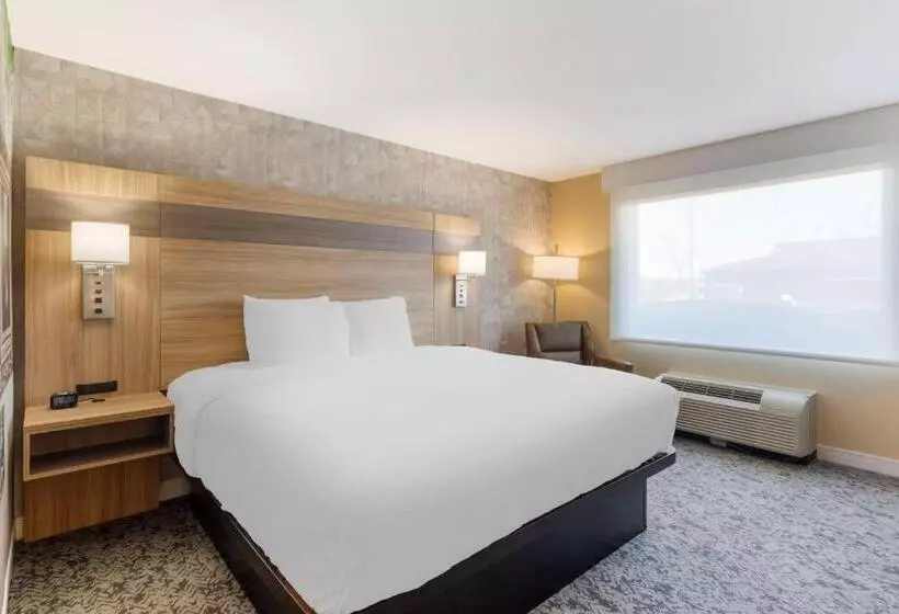 キングサイズベッドのスタンダードルーム, Best Western Glenview   Chicagoland Inn And Suites