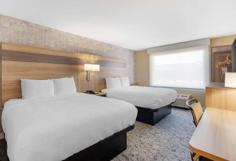 Standard Szoba, Best Western Glenview   Chicagoland Inn And Suites