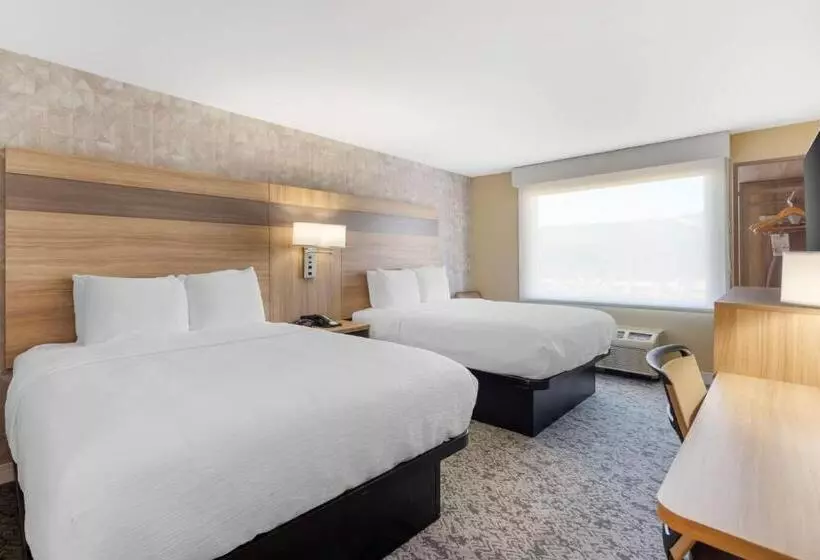 スタンダードルーム, Best Western Glenview   Chicagoland Inn And Suites