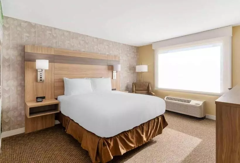 身障者適用スタンダードルーム, Best Western Glenview   Chicagoland Inn And Suites