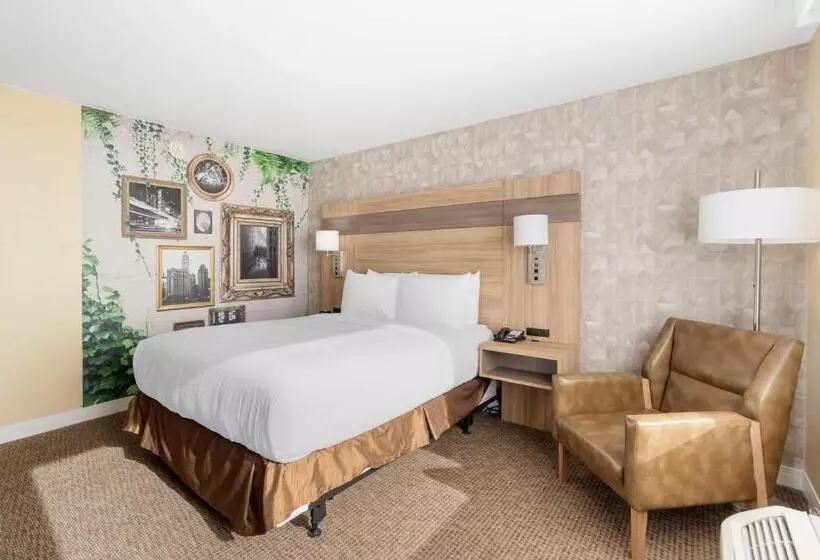 身障者適用スタンダードルーム, Best Western Glenview   Chicagoland Inn And Suites