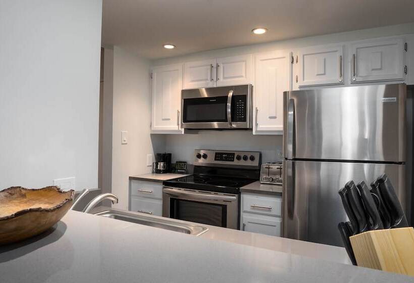 Апартаменты 1 Спальня с Видом, Evergreen Lodge At Vail