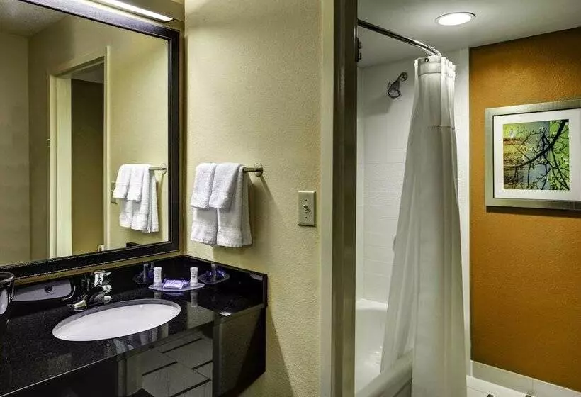 ２ダブルベッドのスタンダードルーム, Fairfield Inn And Suites By Marriott Atlanta Suwanee