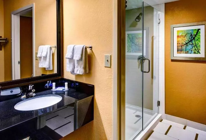 キングサイズベッドのスタンダードルーム, Fairfield Inn And Suites By Marriott Atlanta Suwanee