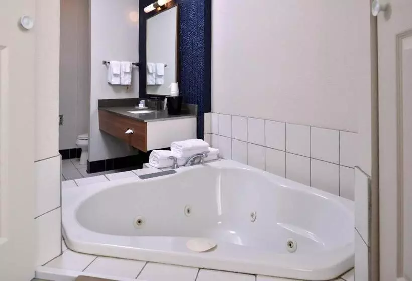 キングサイドベッドのスタンダードワンルーム, Fairfield Inn And Suites Beloit