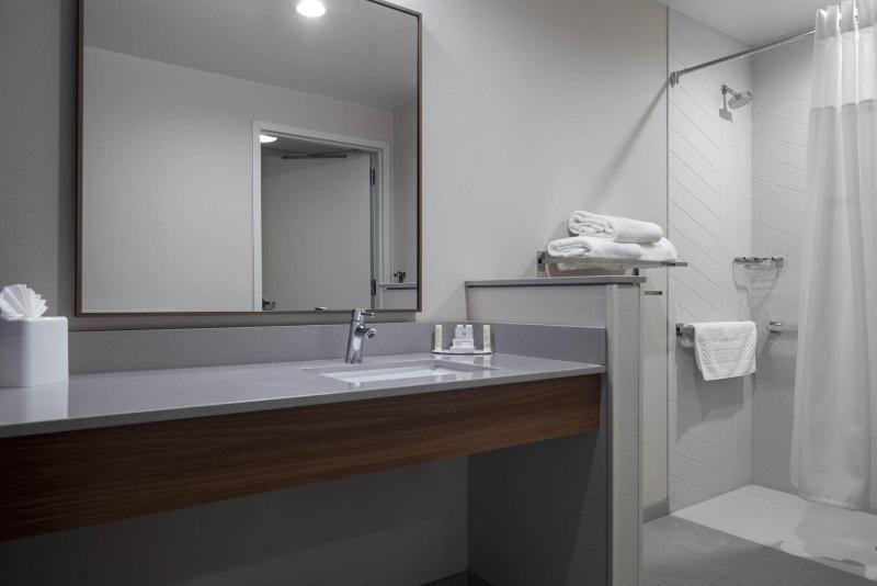 Suite Pat King, Fairfield By Marriott Inn & Suites Dallas Dfw Airport North, Irving