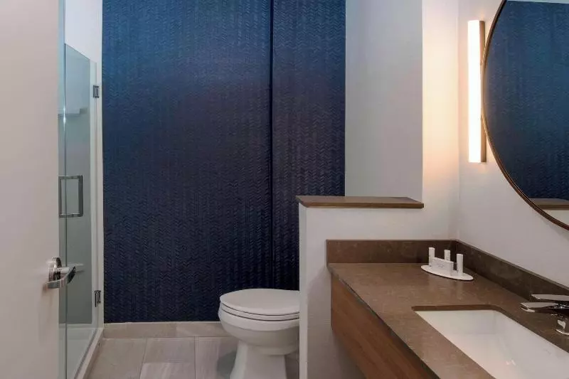 キングサイズベッドのスタンダードルーム, Fairfield By Marriott Inn & Suites Dallas Dfw Airport North, Irving