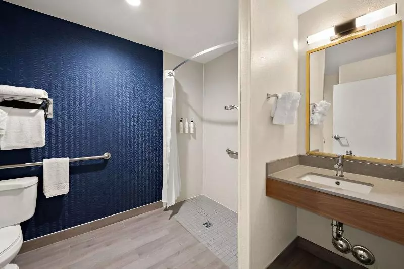 キングサイズベッドのスタンダードルーム, Fairfield By Marriott Chesapeake