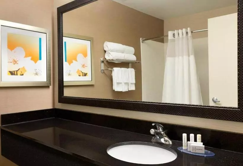 キングサイズベッドのスタンダードルーム, Fairfield Inn & Suites Dallas Mesquite