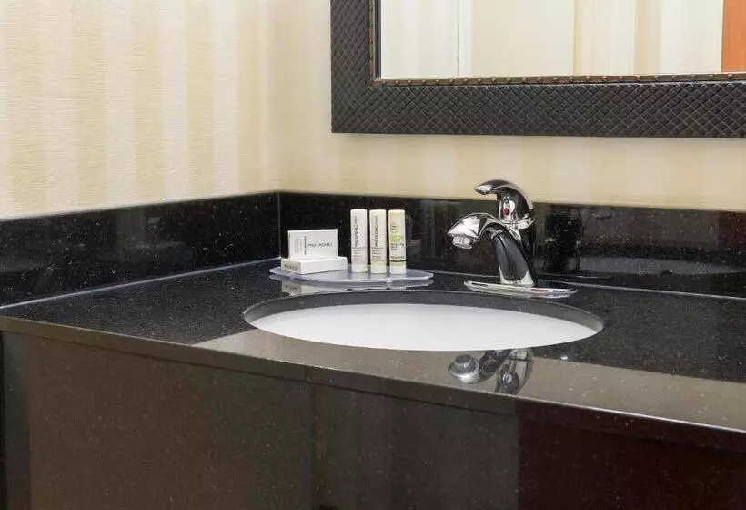 اتاق استاندارد با تخت بزرگ, Fairfield Inn & Suites Fargo