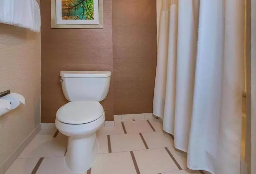 キングサイズベッドのスタンダードルーム, Fairfield Inn & Suites By Marriott Frederick