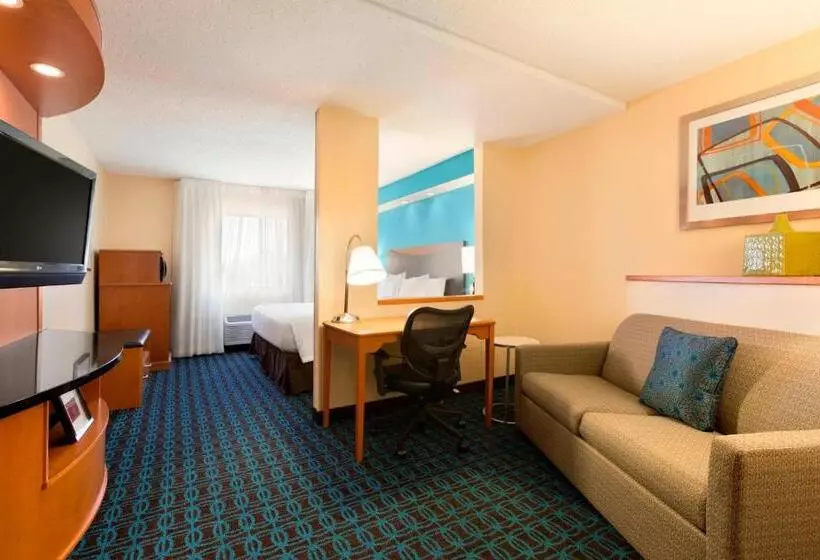 اتاق لوکس با تخت بزرگ, Fairfield Inn & Suites Midland