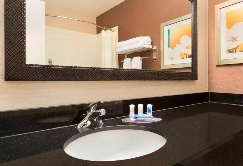 اتاق لوکس با تخت بزرگ, Fairfield Inn & Suites Midland
