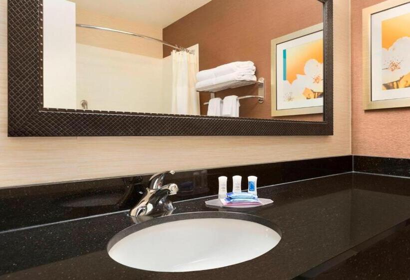 キングサイズベッドのスタンダードルーム, Fairfield Inn & Suites Midland
