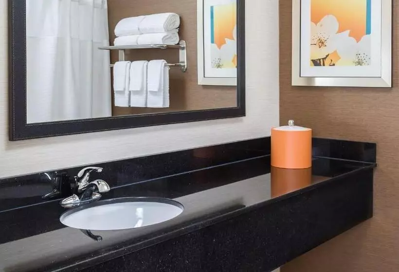 キングサイズベッドのスタンダードルーム, Fairfield Inn & Suites Springfield