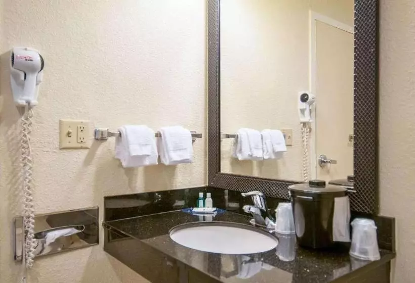 キングサイズベッドのスイートルーム, Quality Inn & Suites