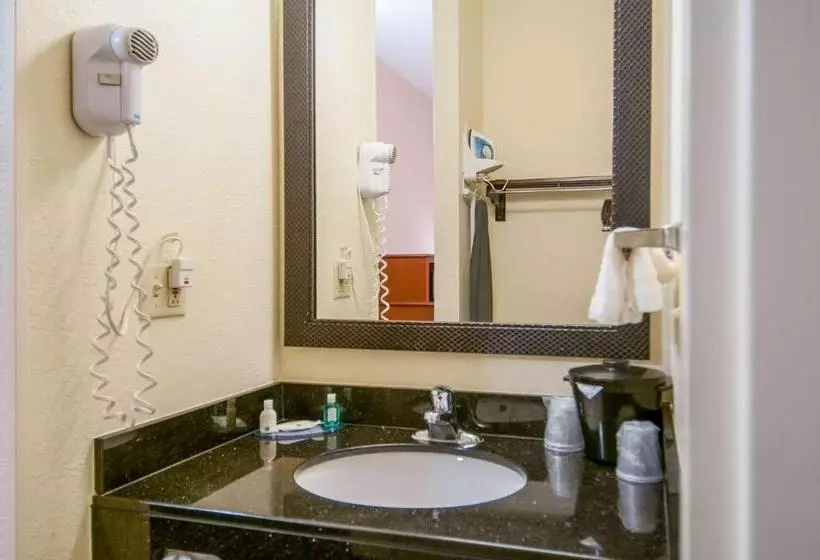 キングサイズベッドのスイートルーム, Quality Inn & Suites