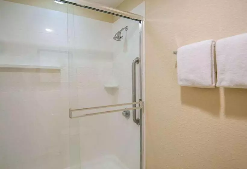 キングサイズベッドのスタンダードルーム, Quality Inn & Suites