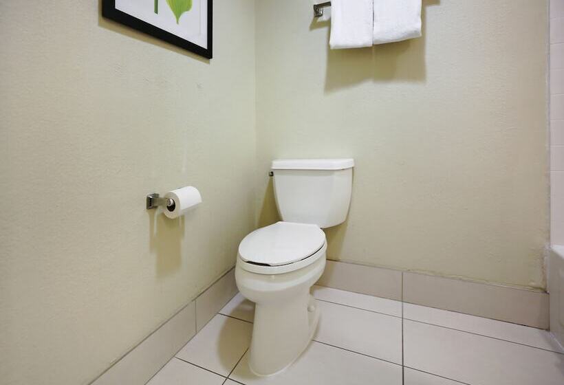 غرفه قياسيه سريرين مزدوجين, Quality Inn & Suites