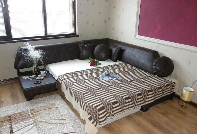 استودیو استاندارد با چشم‌انداز باغ, Emona Guest House