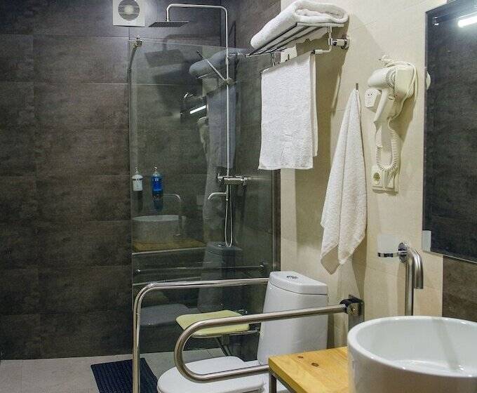 سوئیت برای معلولان, Resolute Shekvetili