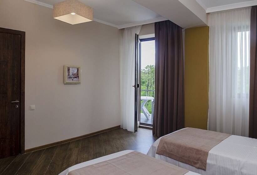 سوئیت برای معلولان, Resolute Shekvetili