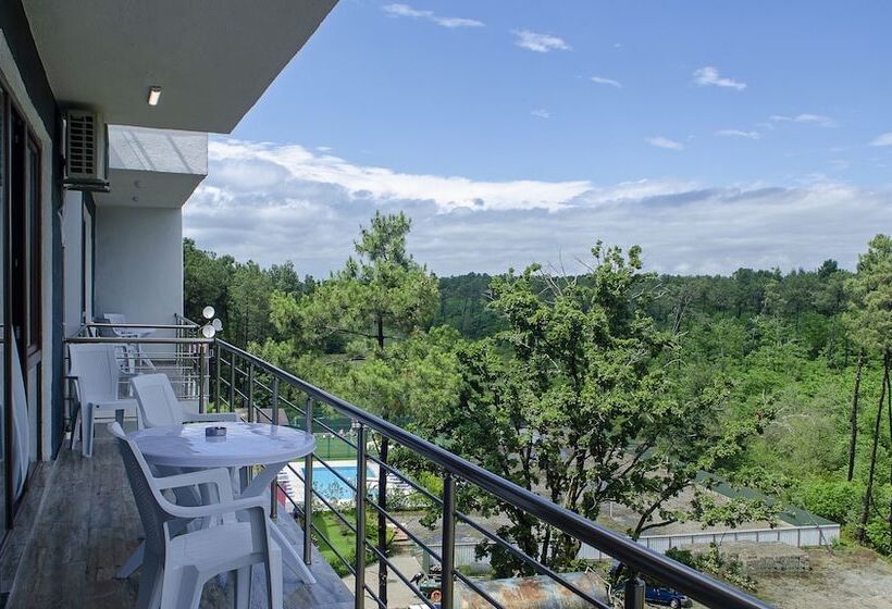 سوئیت برای معلولان, Resolute Shekvetili