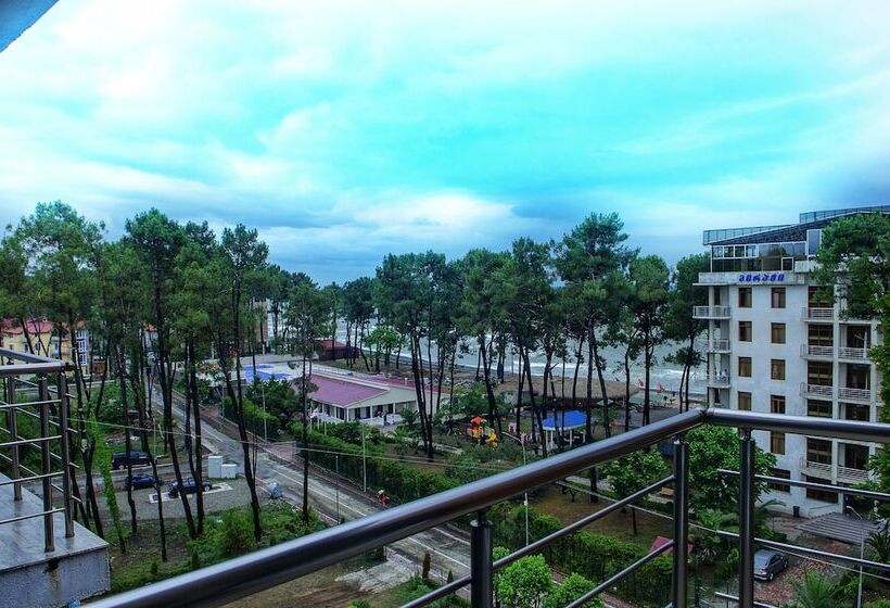 سوییت, Resolute Shekvetili