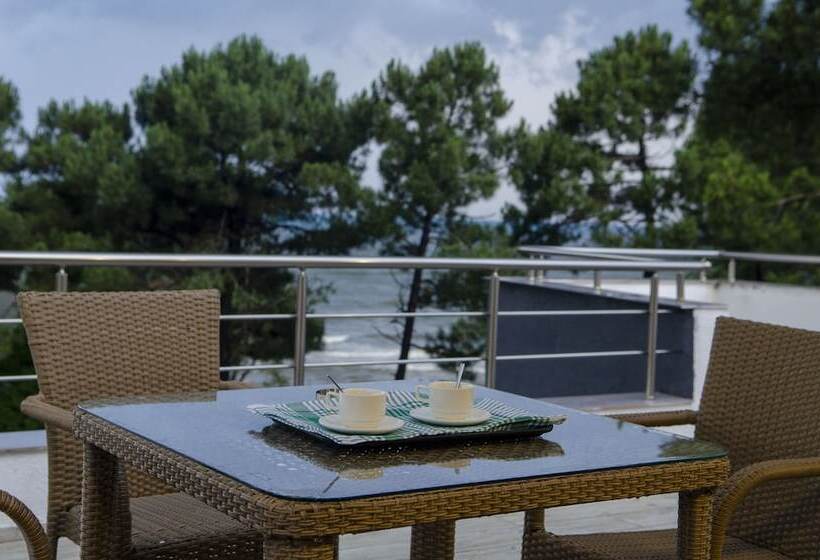 سوییت, Resolute Shekvetili