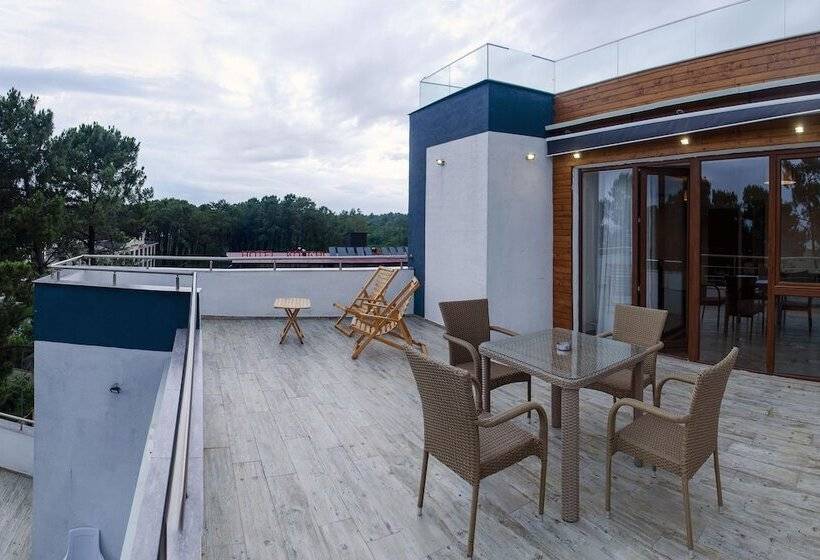 سوییت, Resolute Shekvetili