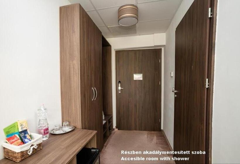 장애인을 위한 스탠다드 룸, írisz