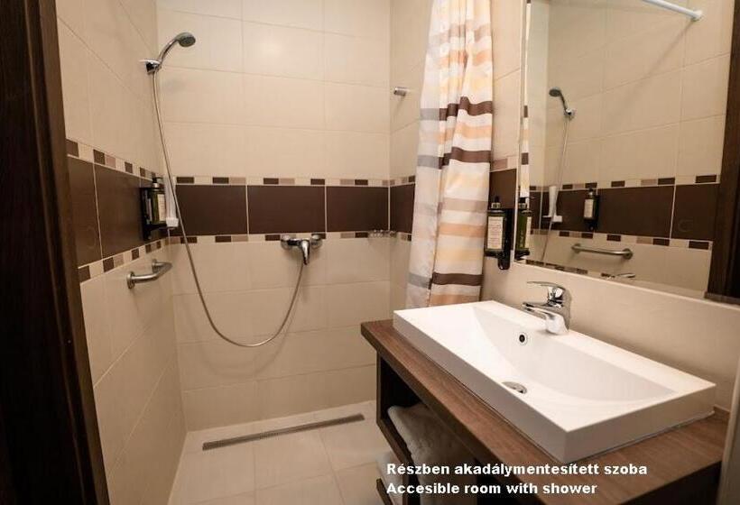 장애인을 위한 스탠다드 룸, írisz