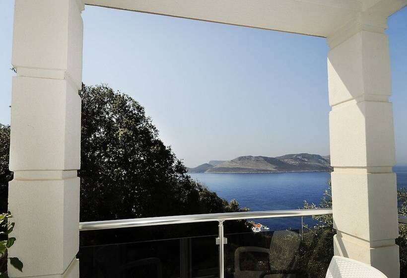 חדר סטנדרט מותאם לאדם עם מוגבלויות, Jackey Boutique