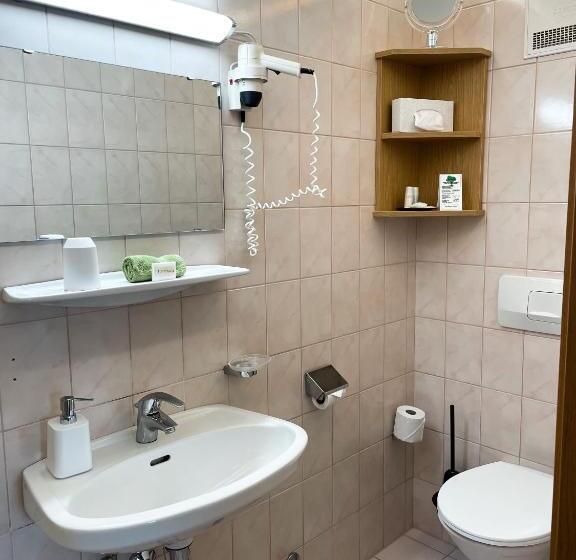 غرفة قياسية فردية, Landhotel Gschirnwirt