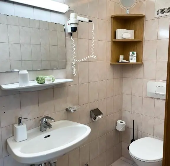 Standard Yhden Hengen Huone, Landhotel Gschirnwirt