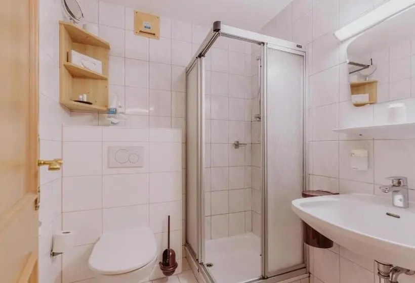 Standard Yhden Hengen Huone, Landhotel Gschirnwirt