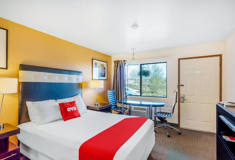 غرفة قياسية, Arlington Motor Inn