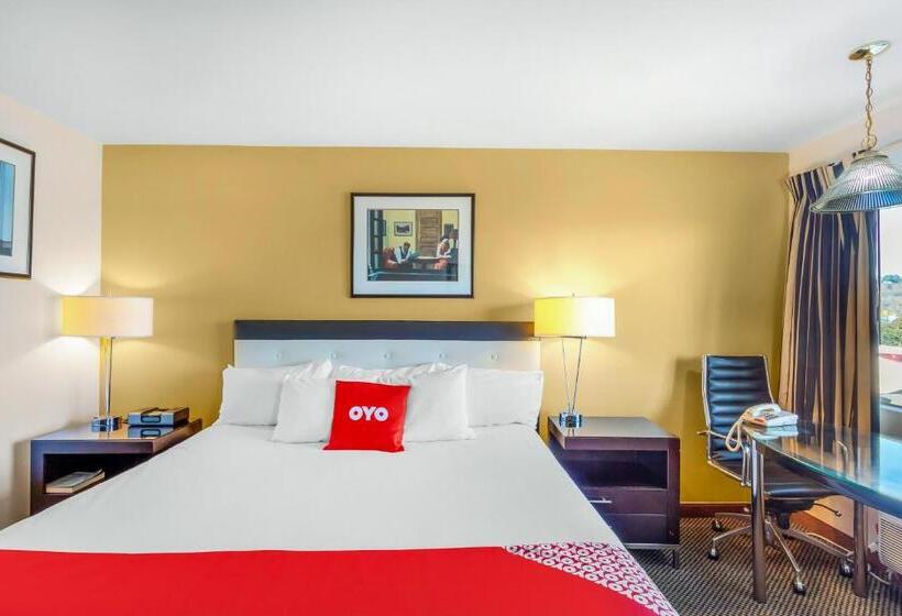 غرفة قياسية سرير كينج, Arlington Motor Inn