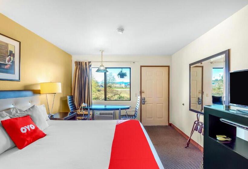 غرفة قياسية سرير كينج لذوى الإحتياجات الخاصة, Arlington Motor Inn