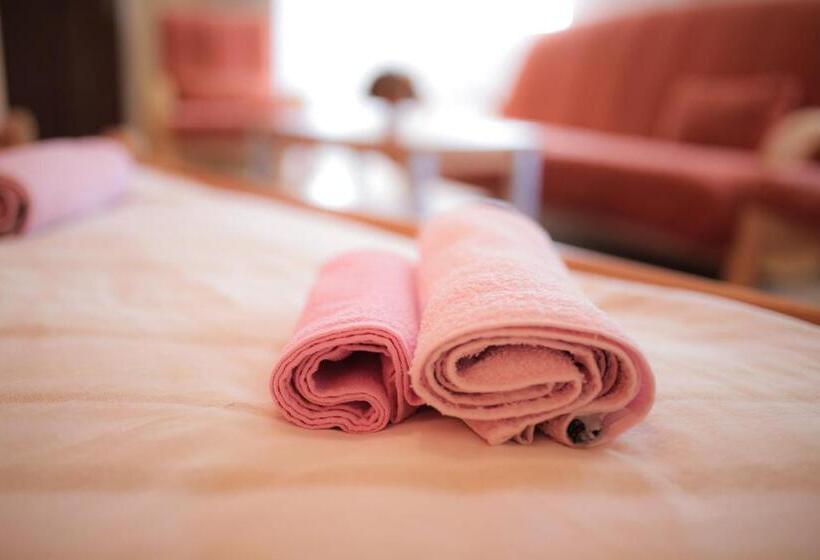 استودیوی استاندارد, Pansion Palace