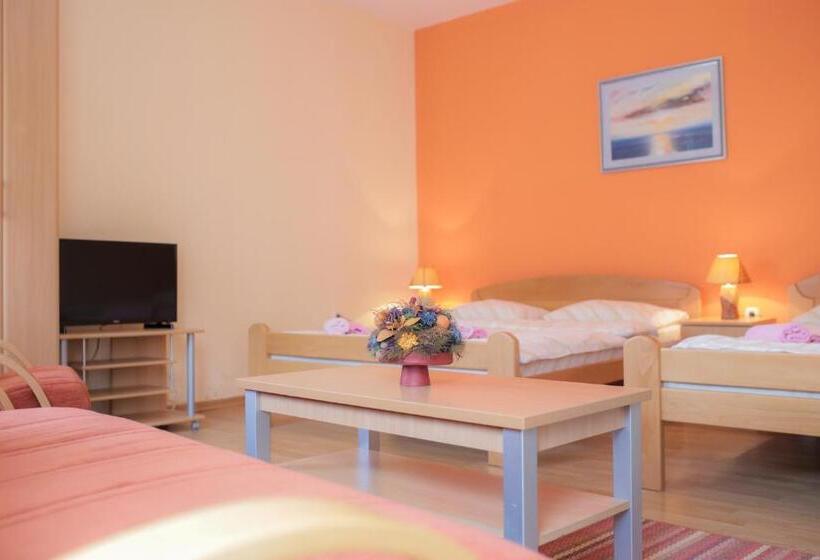 استودیوی استاندارد, Pansion Palace