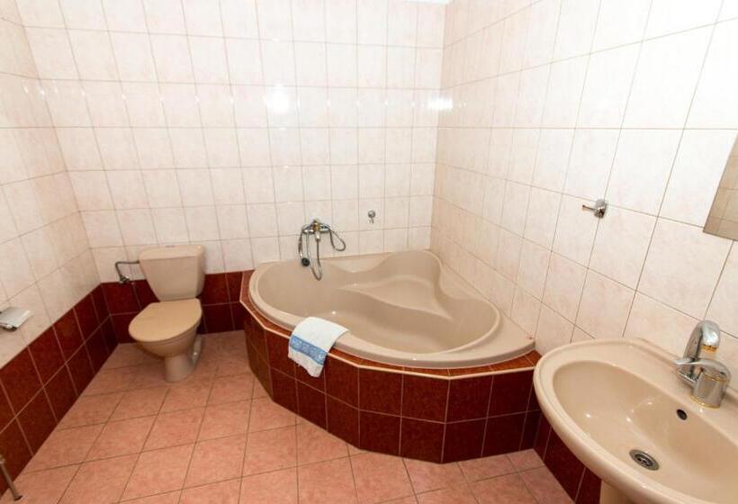 スタンダードトリプルルーム, Pension U Kohoutů