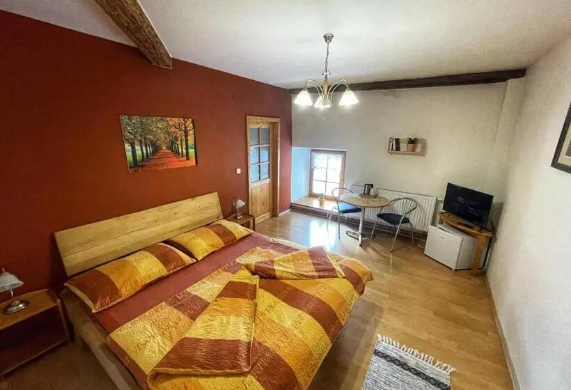 スタンダード４人部屋, Pension U Kohoutů