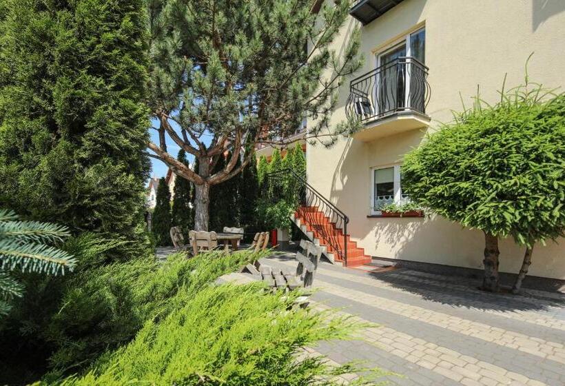 חדר סטנדרט לשלושה, Dg Albatros Ii