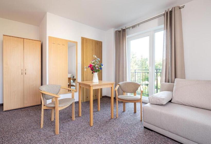 חדר משפחתי, Dg Albatros Ii