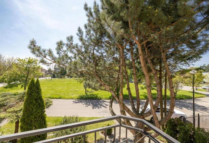 חדר דלוקס, Dg Albatros Ii