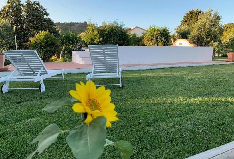 테라스 스위트, Quinta Ribeira Do Labrador   Lisbon West Wine Route