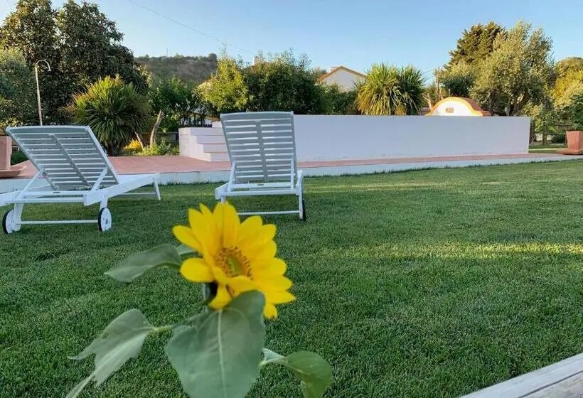 سوییت لوکس, Quinta Ribeira Do Labrador   Lisbon West Wine Route