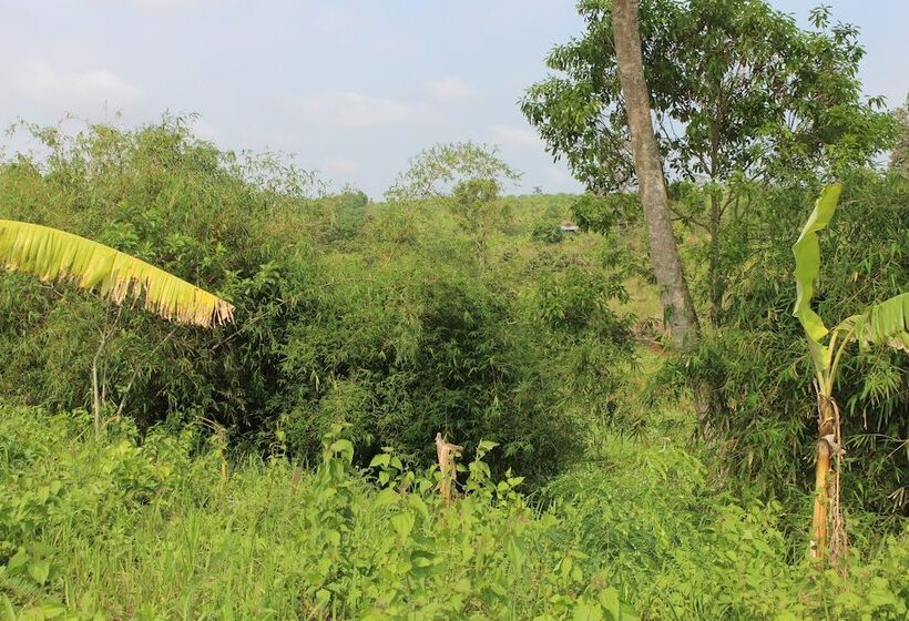 이코노미 룸, Terre De Lumiere