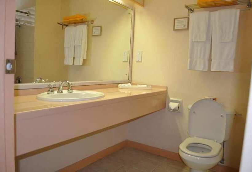 اتاق استاندارد, Pommarine